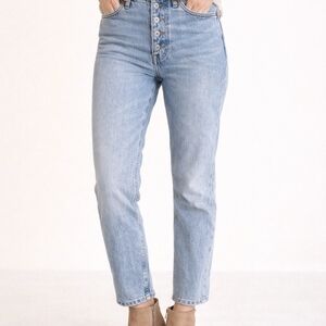 Everlane The 90s Cheeky Jean High Rise Straight Leg Light Wash 24 Regular